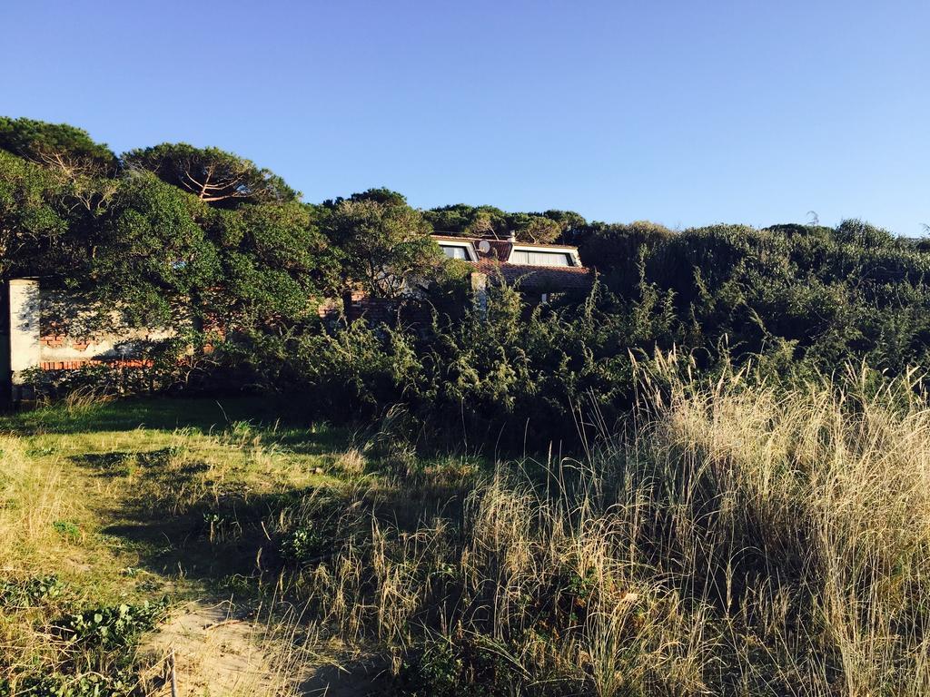 Villa Giannella Orbetello Exteriör bild